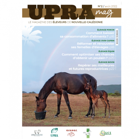 upra.png