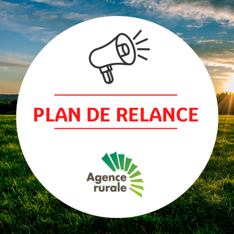 Plan de relance.png