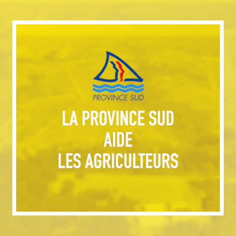25_10 Dispositif AgriPRO’Sud (2).png