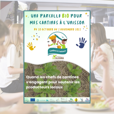 27_10 Cantines à l'unisson (2).png