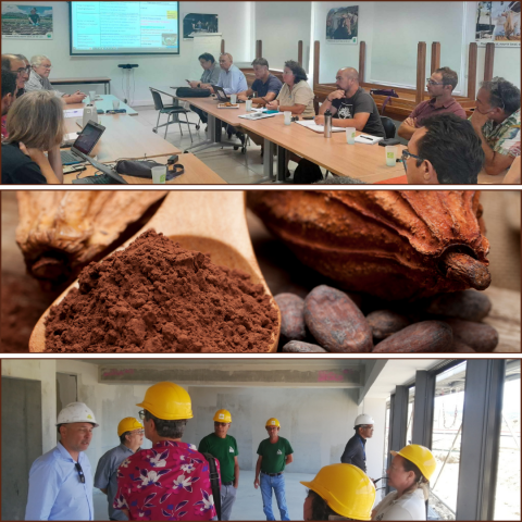 08_11 - La filière CACAO en NC.png