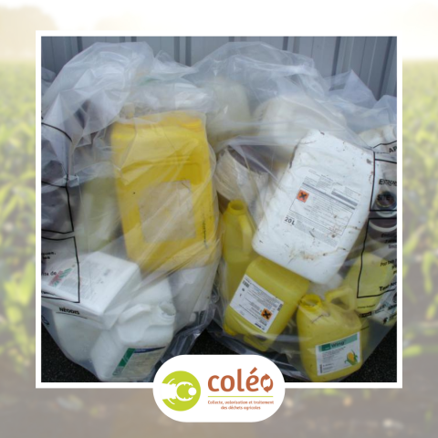1511 - Ramassage de déchets Coleo.png