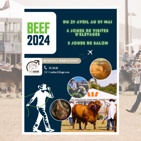 05_12 - BEEF Australia 2024.png