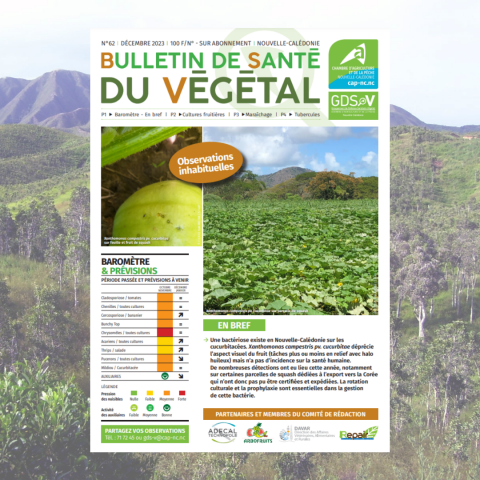 0712 - Bulletin de santé du végétal.png