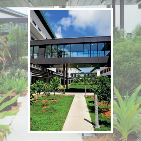 08_12 - Visite jardin des plantes médicinales Medipôle.png