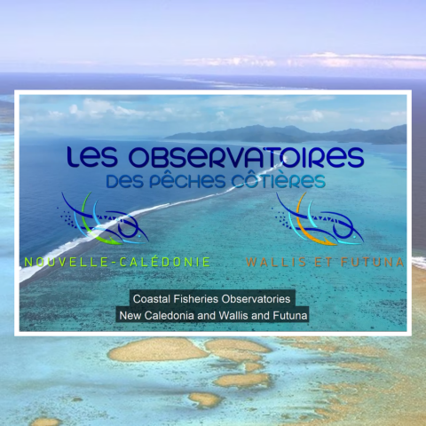 12_12 - Plaidoyer pour la pérennisation des OPC.png