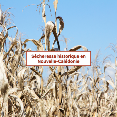 1412 - Sécheresse historique.png