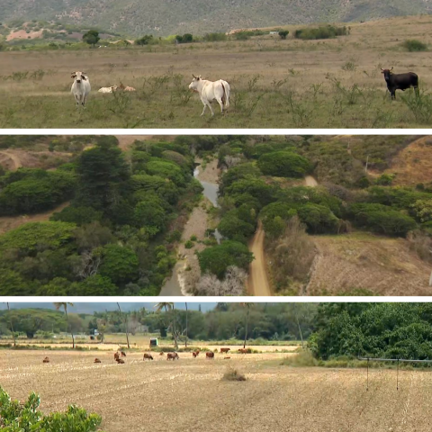 2112 - Voh, Koné et Pouembout en alerte sécheresse et pénurie d’eau.png