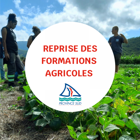 Formations agricoles en PS.png