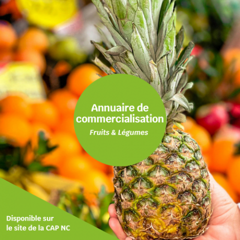 Annuaire d'appui à la commercialisation des fruits et légumes .png