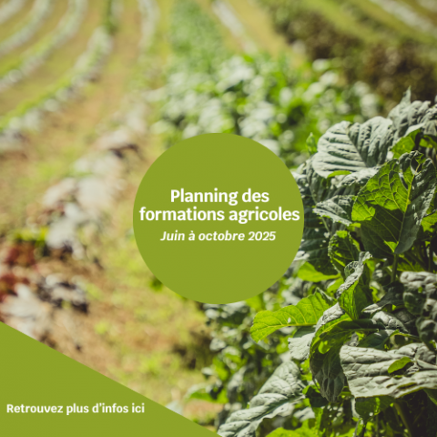 Planning des formations agricoles - CFPPA .png