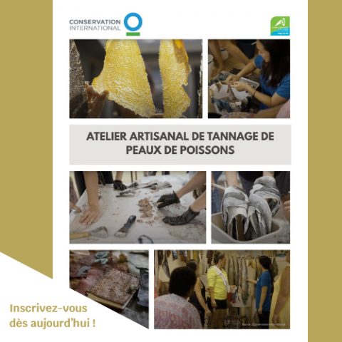Atelier de tannage de peaux de poissons .png
