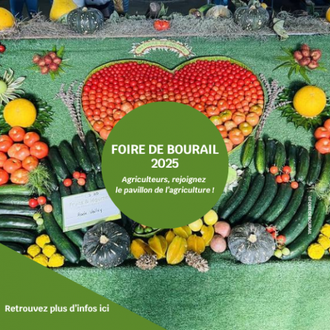 Foire de Bourail appel aux exposants .png