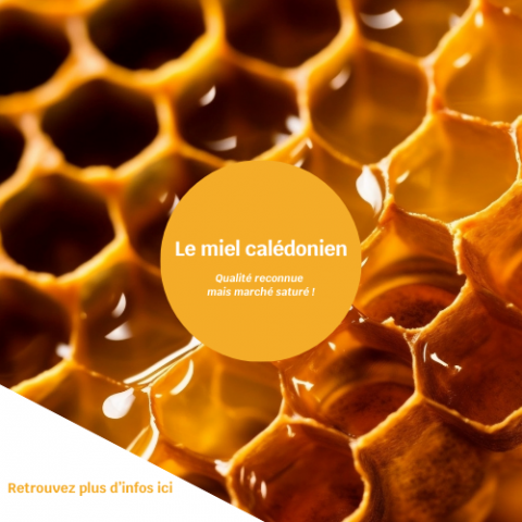 Miel calédonien .png