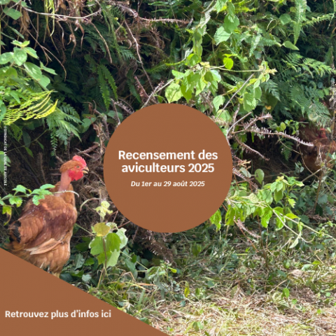 Recensement aviculteurs .png