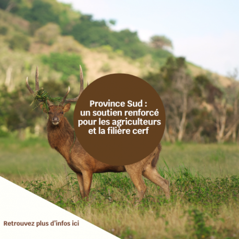 Soutien aux agriculteurs et à la filière cerf .png