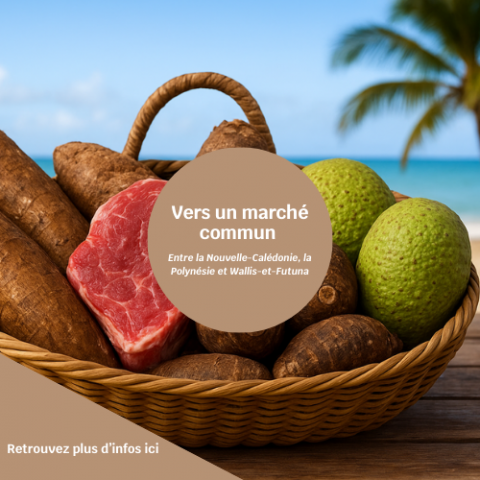 Vers un marché commun.png