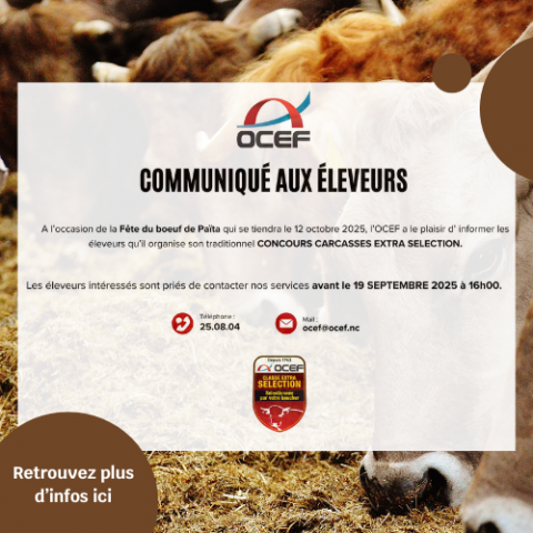 Concours OCEF.png