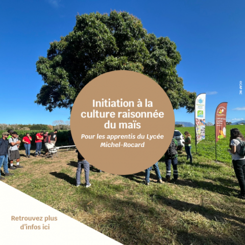 Les apprentis du Lycée Michel-Rocard s’initient à la culture raisonnée du maïs .png
