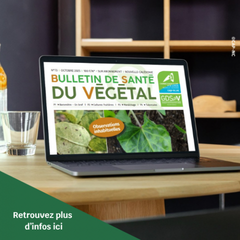 Bulletin Santé du Végétal n°73.png