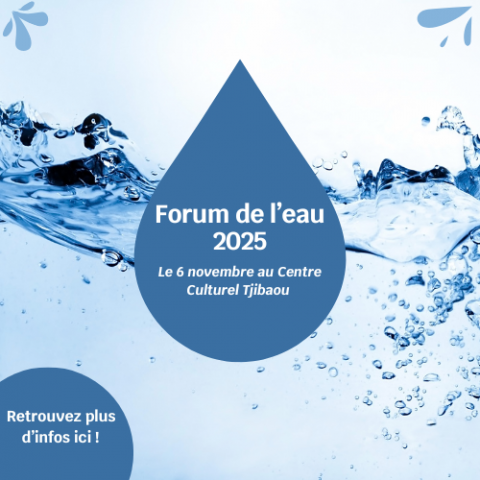 Forum de l'eau 2025.png