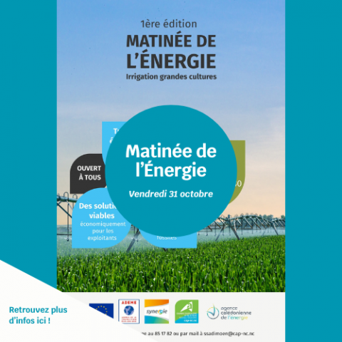 Matinée de l'énergie.png
