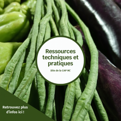 Ressources techniques et pratiques - CAP NC.png