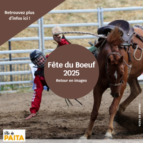 Retour Fête du Boeuf .png