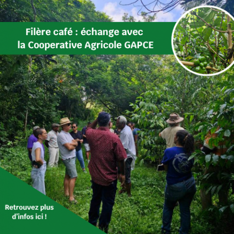 Rencontre avec la Coopérative Agricole GAPCE.png