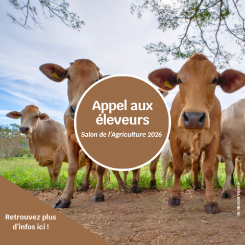 Appel aux éleveurs - SIA 2026.png