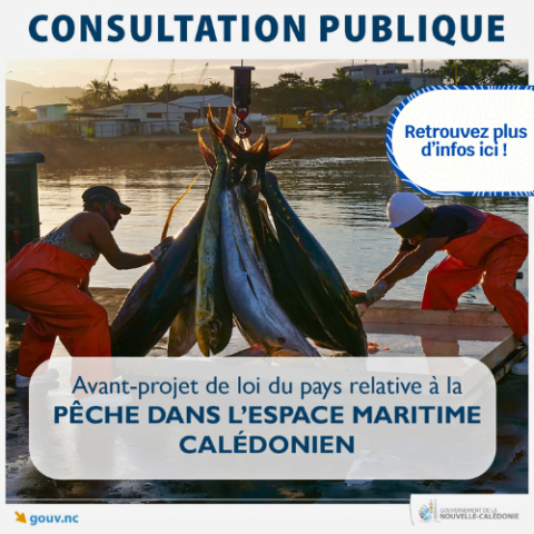 Consultation publique sur la filière pêche .png