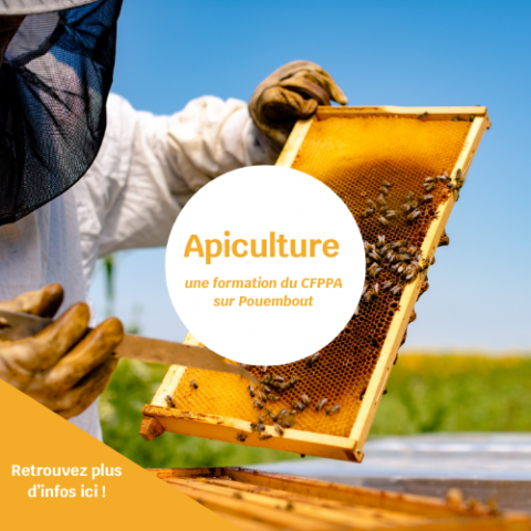 Formation apicole CFPPA Nord.png