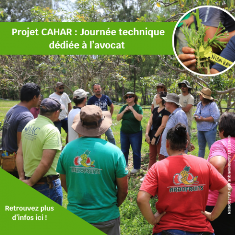 Journée technique  Projet CAHAR.png