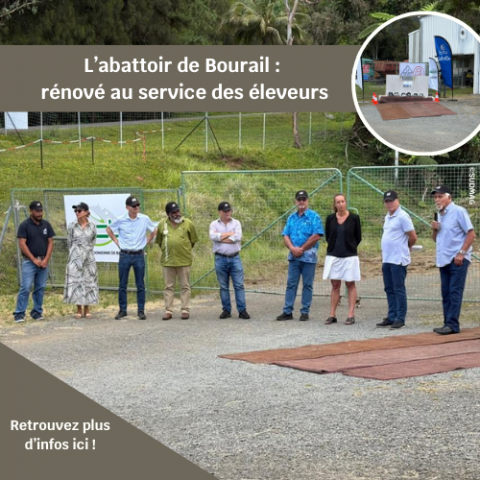 L'abattoir de Bourail rénové.png