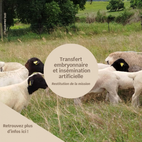 Mission TE et IA.png