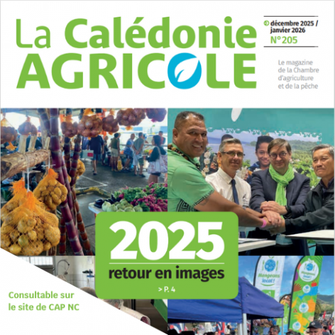 Nouveau numéro de la Calédonie Agricole n°205