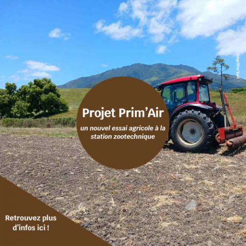 Nouvel essai pour le Projet Prim'Air .png