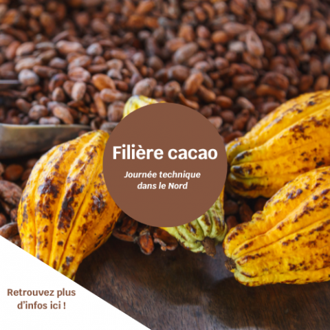 Reportage journée technique - Cacao .png