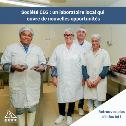 Société CEG à Boulouparis.png