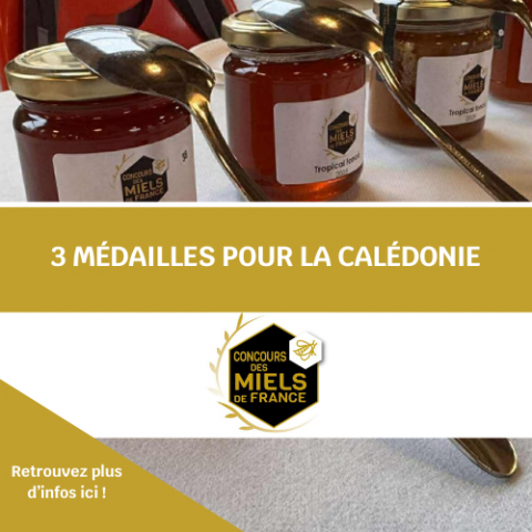 miel concours(2).png