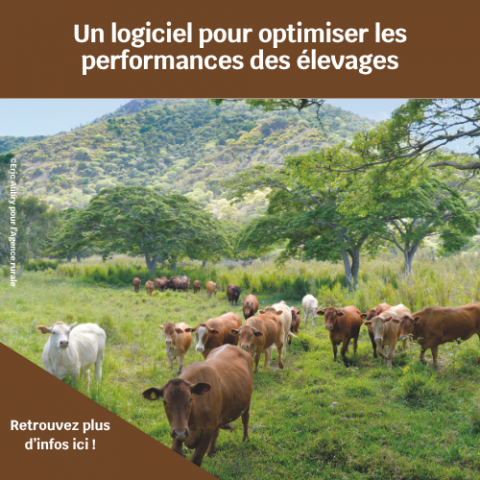 Outil filière bovine.png