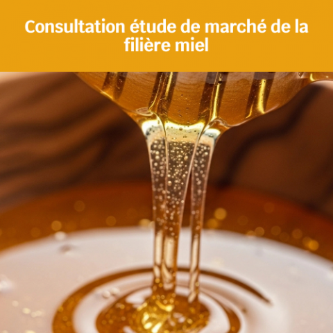 Etude Miel.png