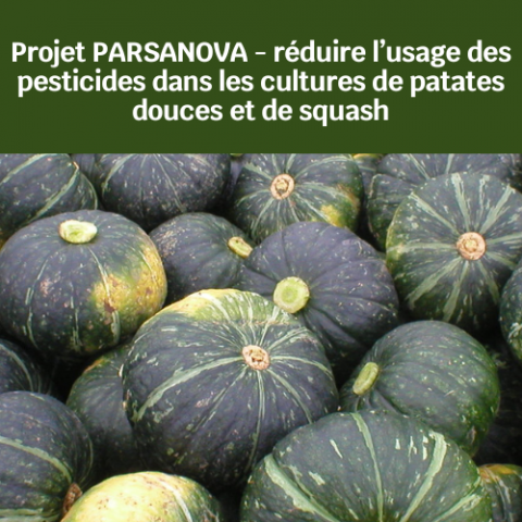 Parsanova.png