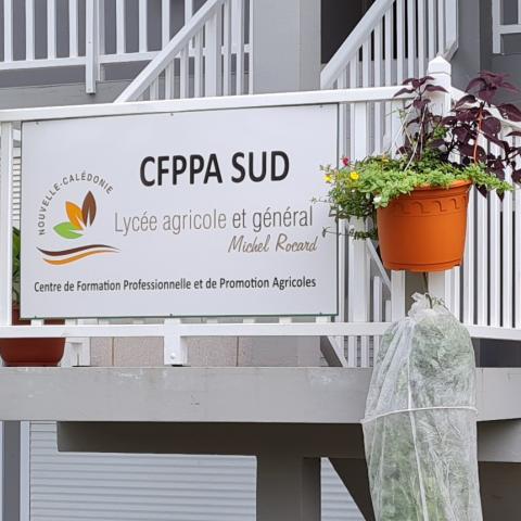 Ouverture du poste de directeur du CFPPA Sud