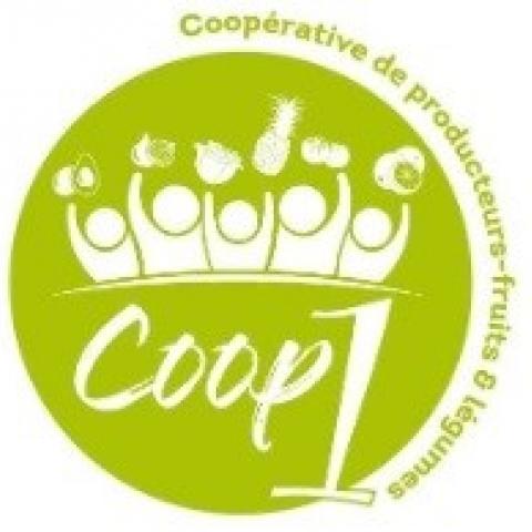 Ouverture du poste de directeur(trice) de la Coop1