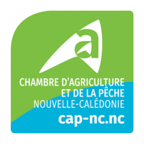 Responsable du Pôle Appui Ressortissants (H/F)