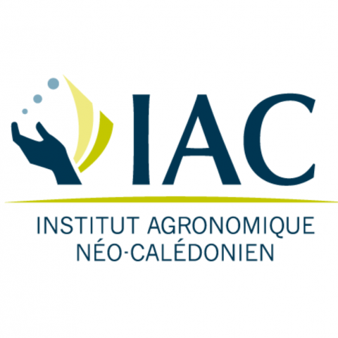 Offre de stage en biogéochimie des sols (6 mois) 