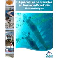 FichesTechniques_AquacultureCrevettes.png