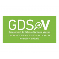 GDSV