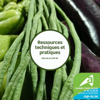 Fiches techniques  - CAP NC.png